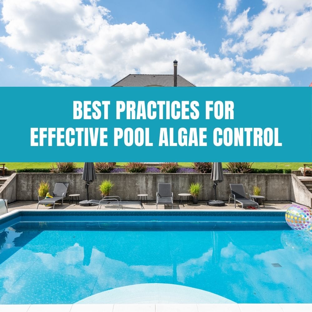 Best practices for effective pool algae control to maintain clean and safe water