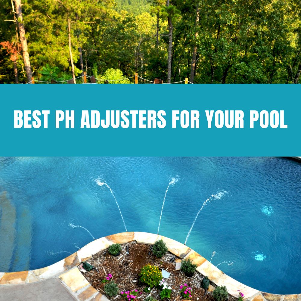 Various pH adjusters for maintaining balanced pool water chemistry