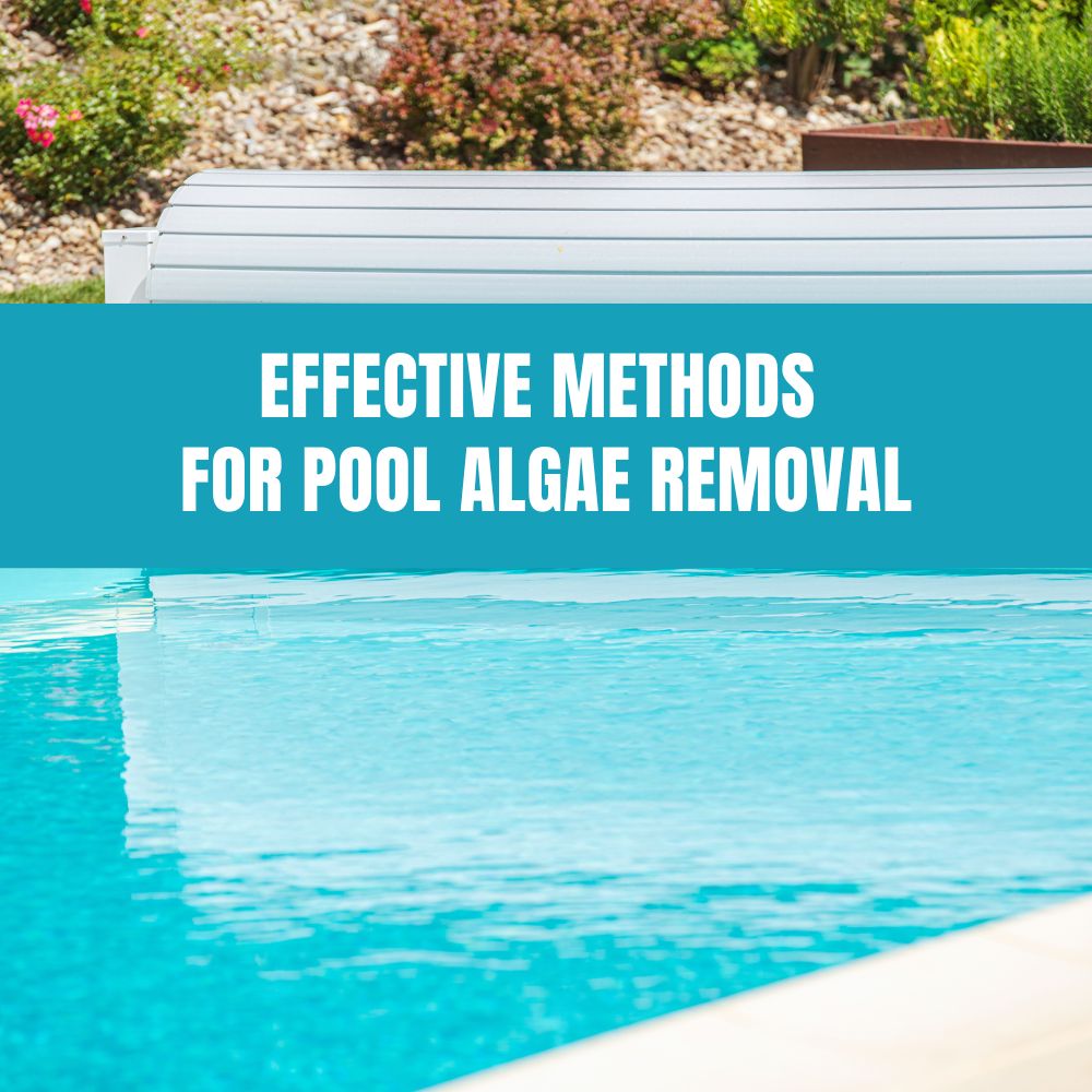 Effective Methods for Pool Algae Removal – AquaDoc