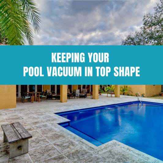 Guide to maintaining and cleaning your pool vacuum for optimal performance and longevity.