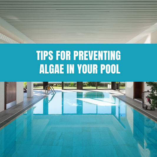 Preventing algae in your pool with regular maintenance and proper water chemistry